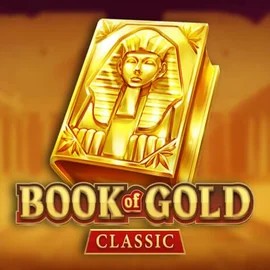 game logo by Playson on casinok.ca