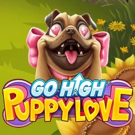 game logo by RubyPlay on casinok.ca